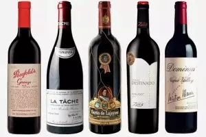 Vinos del Olimpo: los cinco magníficos del 2013