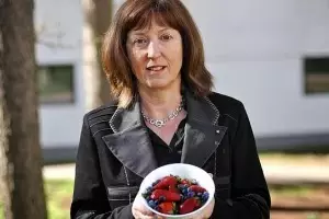 Chocolate, vino y frutas rojas, un buen menú para prevenir la diabetes