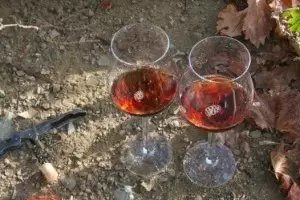 Commandaria ¿es este el vino más antiguo del mundo?