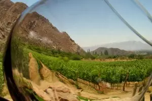 España se convierte en el primer productor mundial de vino