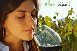 Nueva Guía Digital de las 20 Rutas del Vino de España
