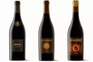 Teso La Monja por Wine Enthusiast