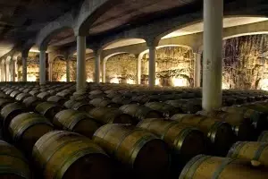 Lluvia de premios para el vino ecológico de Castillo de Mendoza