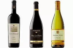 Grans Muralles y Mas La Plana, los vinos de Torres elegidos por los hermanos Roca