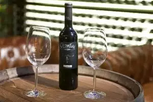 Acontia Bodega de Masterchef