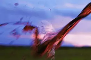 Arrels del Vi crece: 23 bodegas, más de 100 vinos y un 30% más de espacio