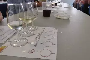 Los cinco sentidos se entrenan para sentir el vino