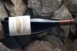 Bodegas Torres lanza el primer vino chileno procedente de terrazas de piedra pizarra