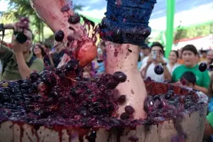 Cinco fiestas imprescindibles de la vendimia en España