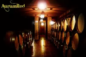 El vino más caro del mundo se hace en Cuenca