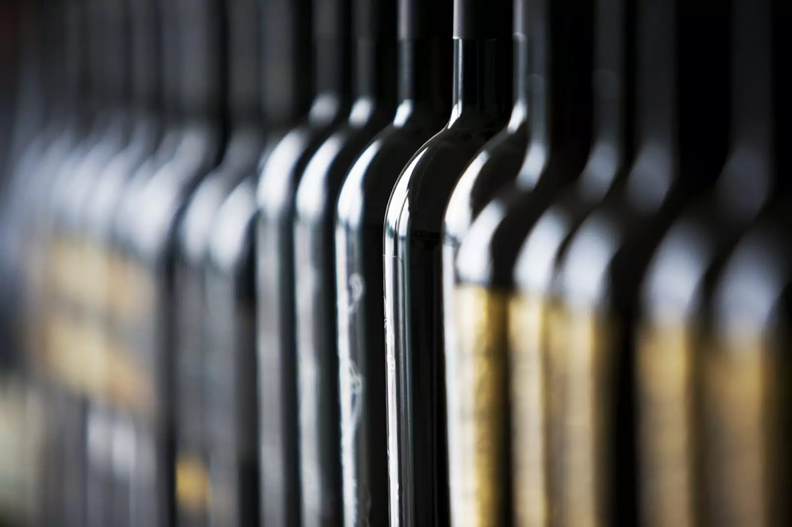 Los vinos españoles lideran las exportaciones mundiales y aumentan su valor