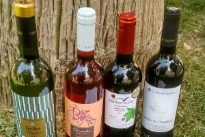 Bodegas Viña Ijalba, Bodegas Quaderna  Vía, Bodegas San Dionisio y Bodegas  Castillo de Mendoza se hacen con los  Grandes Ecovino de Oro 2016