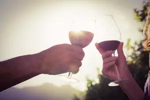 ¿Por qué Pingus y L’Ermita son los vinos más caros de España?