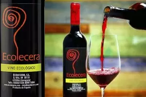 Ya sabemos cuál es el mejor vino ecológico español de 2015  Fuente: medio ambiente