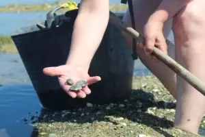 De vinos (y otros placeres) por las Rías Baixas