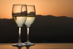¿Cómo enfriar el vino en verano?