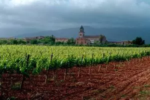 Tesoros ocultos del vino español