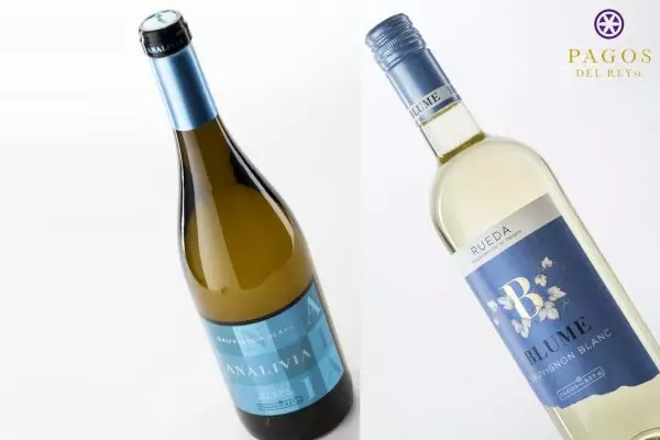 Dos vinos de Pagos del Rey, entre los mejores Sauvignon Blanc del mundo