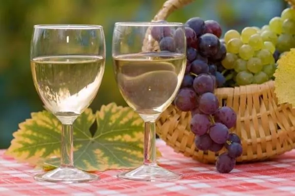 ¿Cómo elegir un vino blanco? Te proponemos doce para escoger y acertar con el mejor