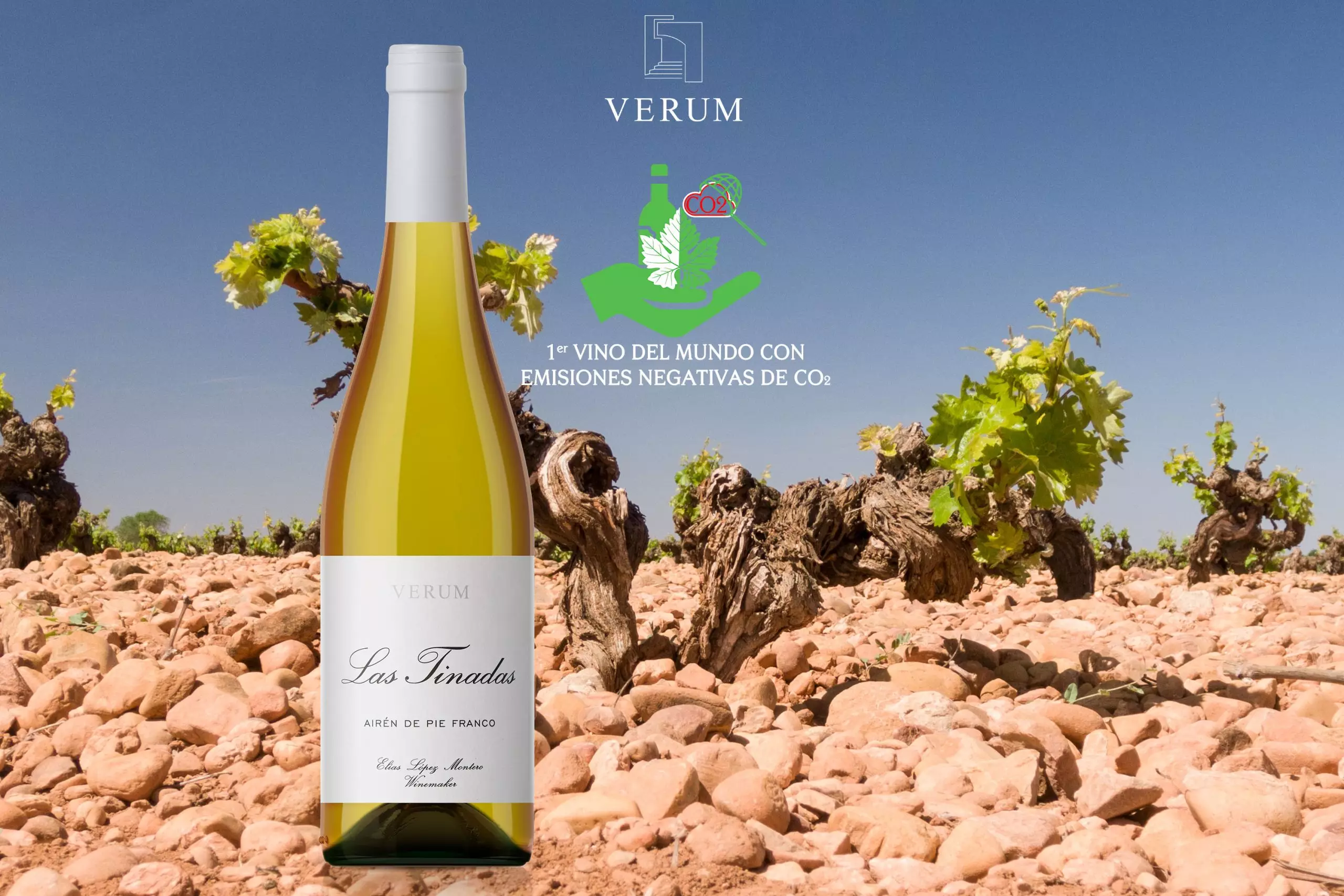 Verum Airén Las Tinadas, el primer vino del mundo con emisiones negativas de CO2
